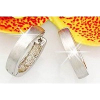 Auskari "Tender" Auskari "Tender"